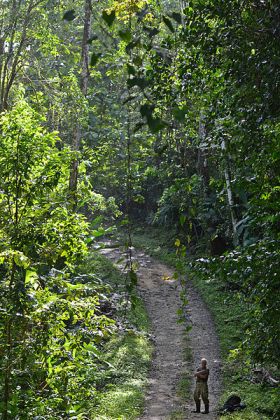 Hiking Trail Bocas Del Toro Panama – Best Places In The World To Retire – International Living